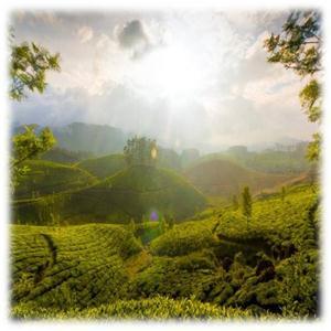 Munnar